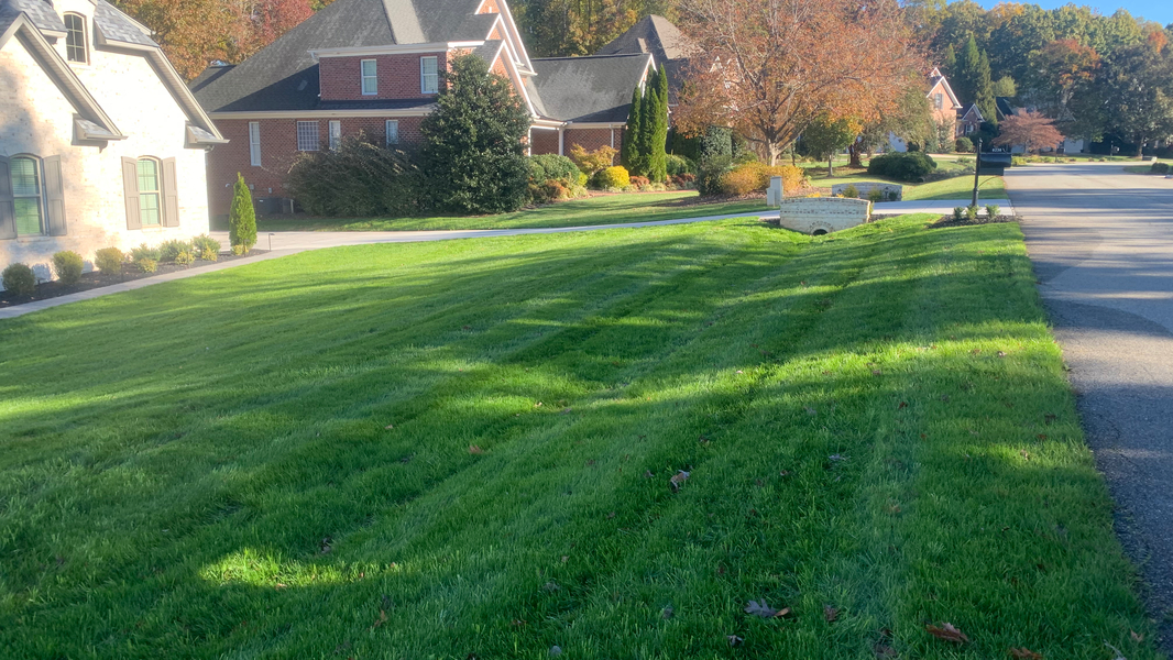 Cover photo of Ramirez Landscaping & Lighting